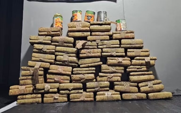 whatsapp-image-2026-02-21-at-10.16.25